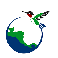 Stiftung Kinderdorf Pestalozzi